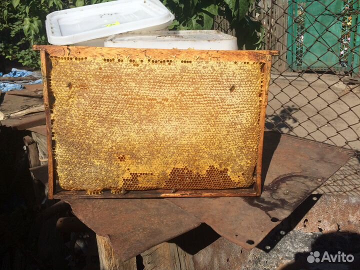 Мёд Майский