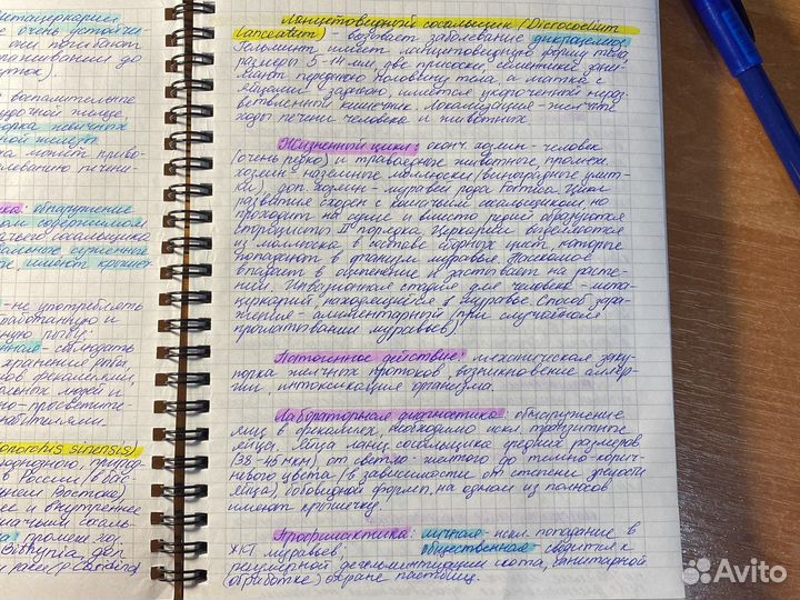 Написание конспектов, редактирование текстов