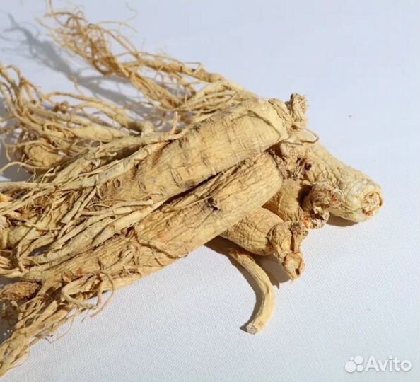 Корень женьшеня