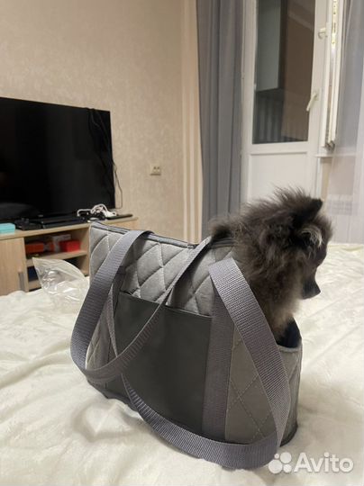 Сумка для маленьких собак