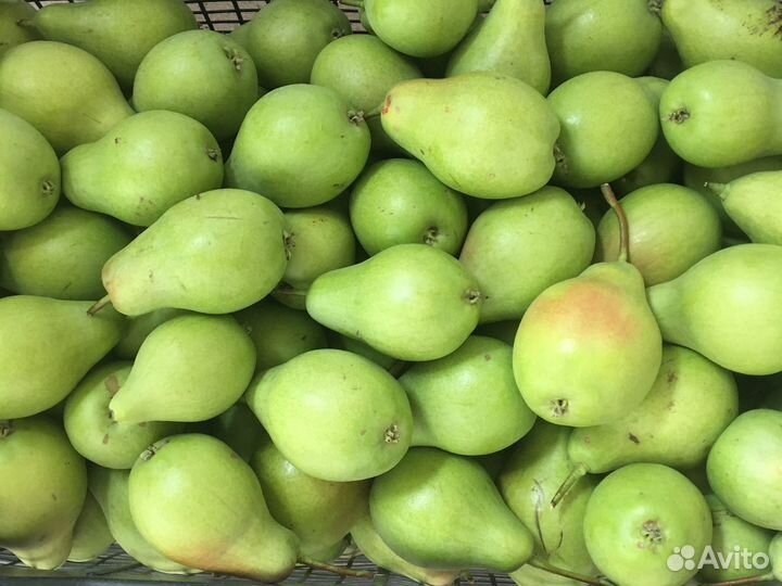 Груши, яблоки