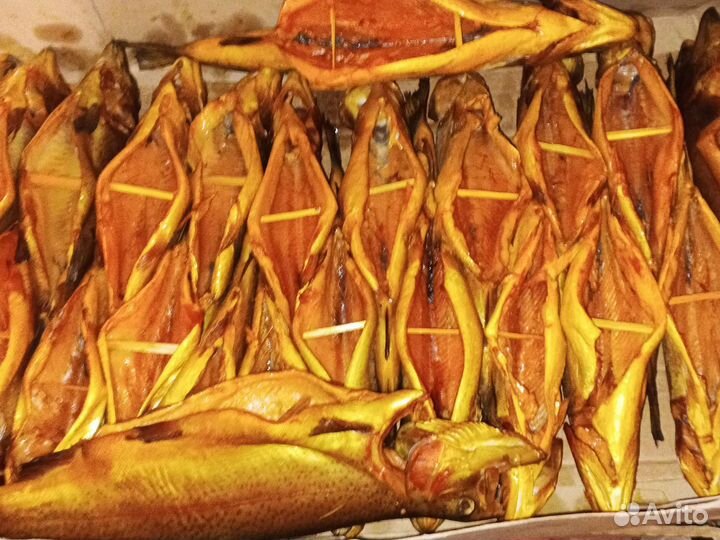 Форель холодного копчения