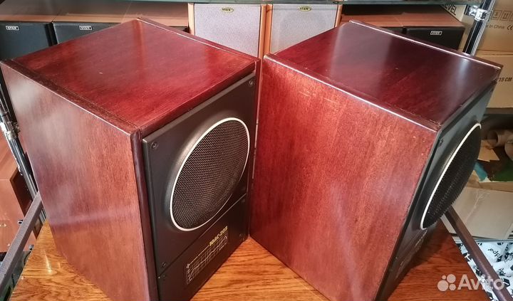 Колонки 10ас-203