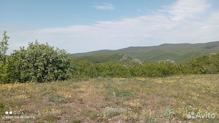 Конные прогулки
