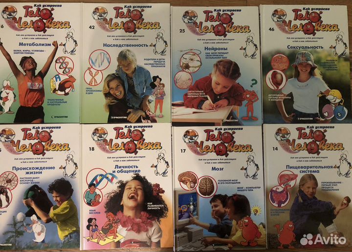 Детская энциклопедия анатомия человека