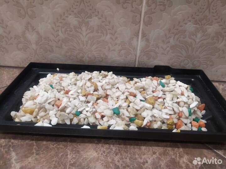 Аквариум 10 литров с рыбками и всем содержимым