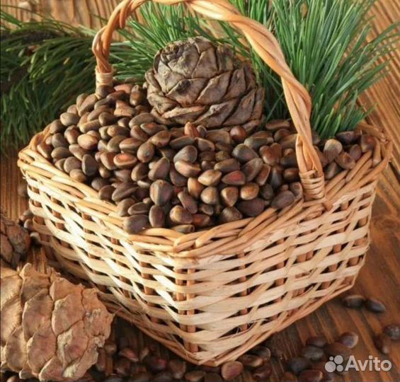 Продаю орех