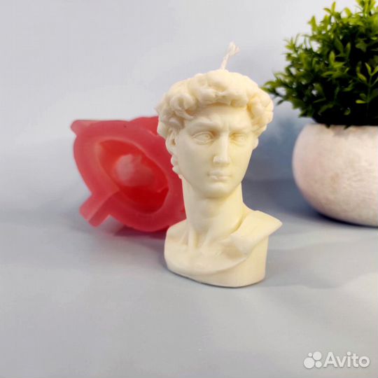 Молд силиконовый Голова Давида