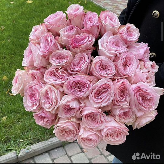 Букеты Роз 51 101 Пионовидны кустовые доставка