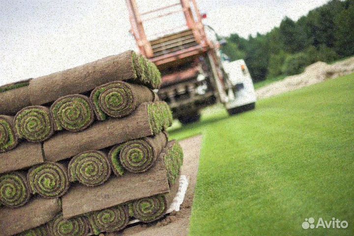 Продажа газона