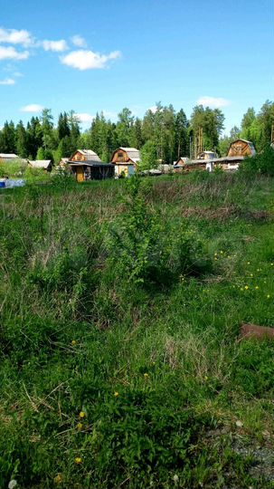 Участок 6,2 сот. (СНТ, ДНП)