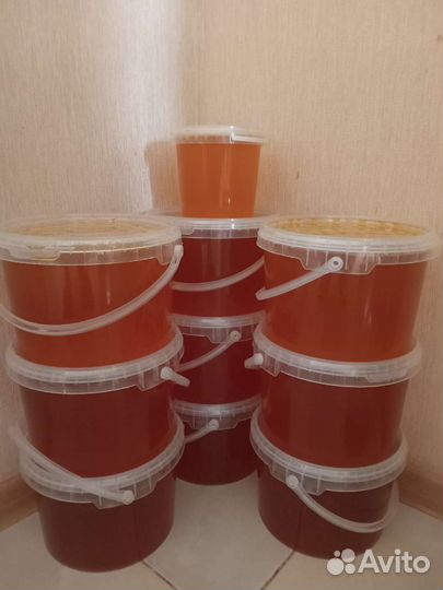 Мед. Разнотравье