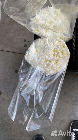 Хризантемы оптом