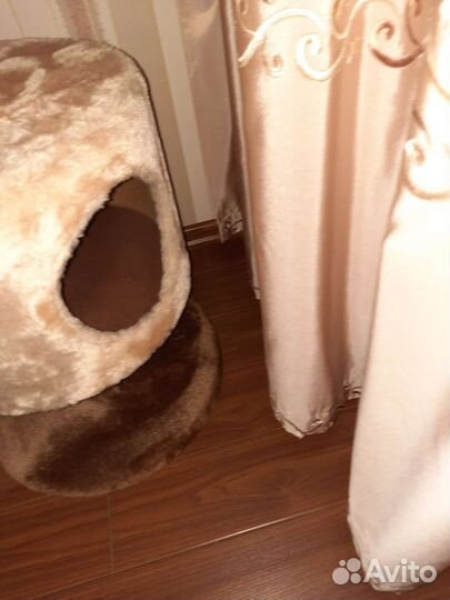 Дом когтеточка