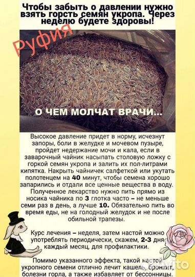 Семена укропа