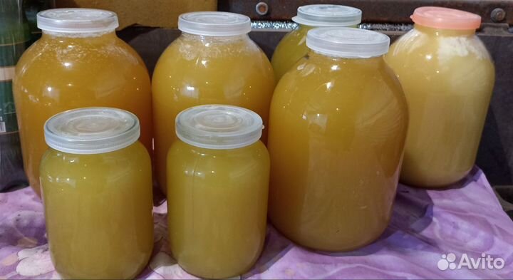 Пеларгония (герань) сортовая April snow