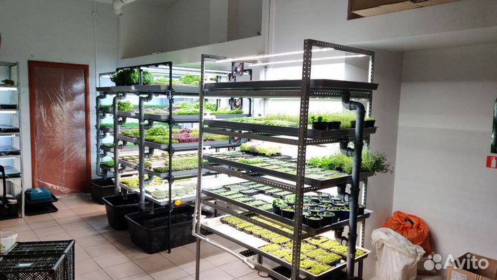 Начни зарабатывать на своей ситиферме