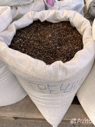 Гречка / Гречиха