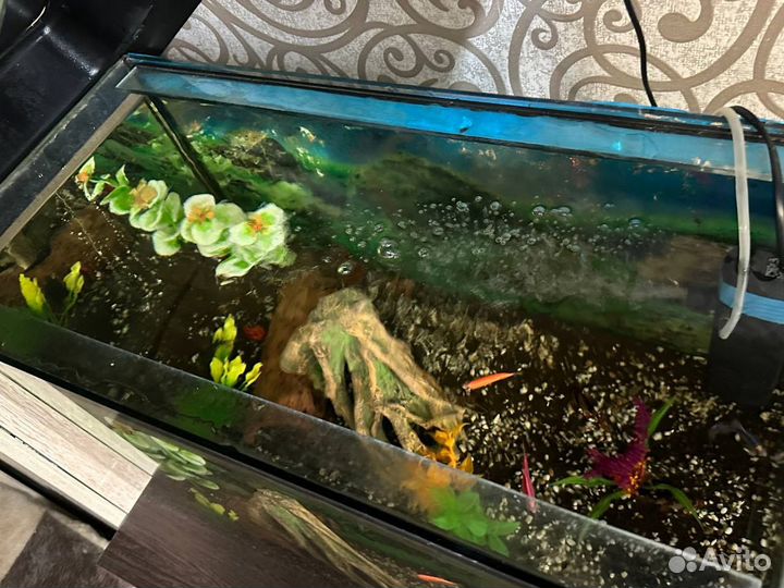 Аквариум с рыбками
