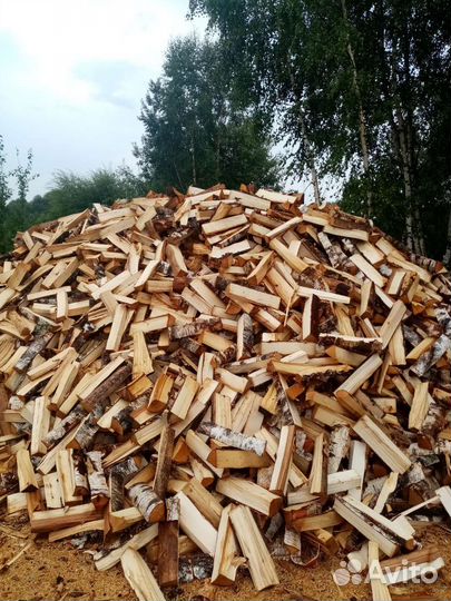 Берёзка от 3.5 кубов