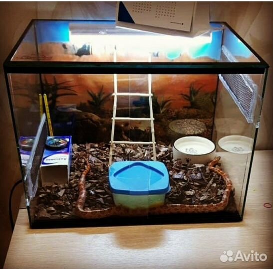 Террариумы для змеи