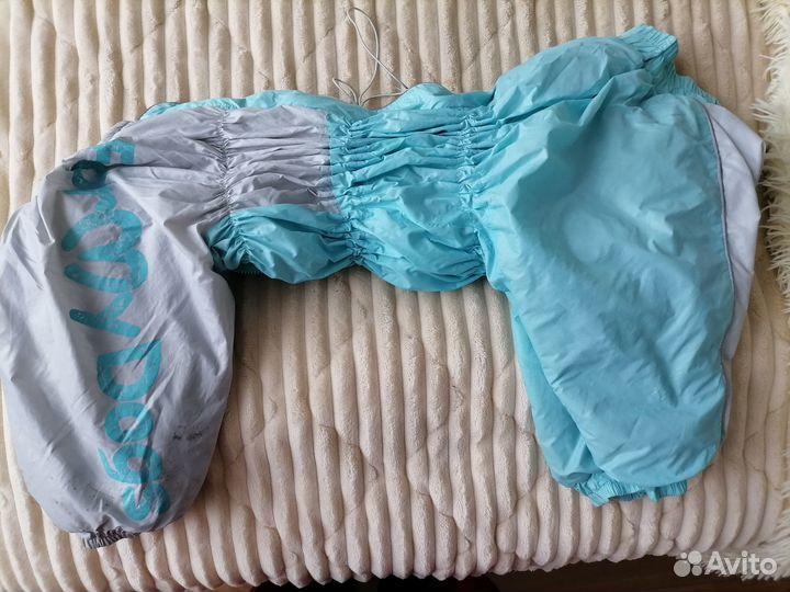 Одежда для собак