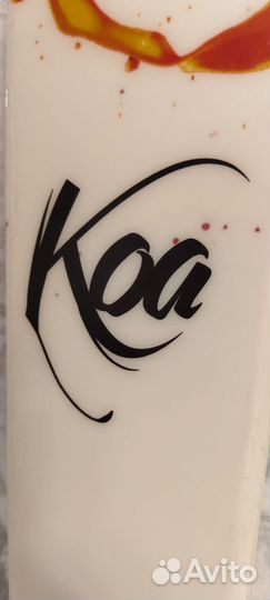 Горные лыжи fischer koa