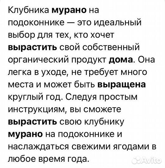 Клубника Мурано