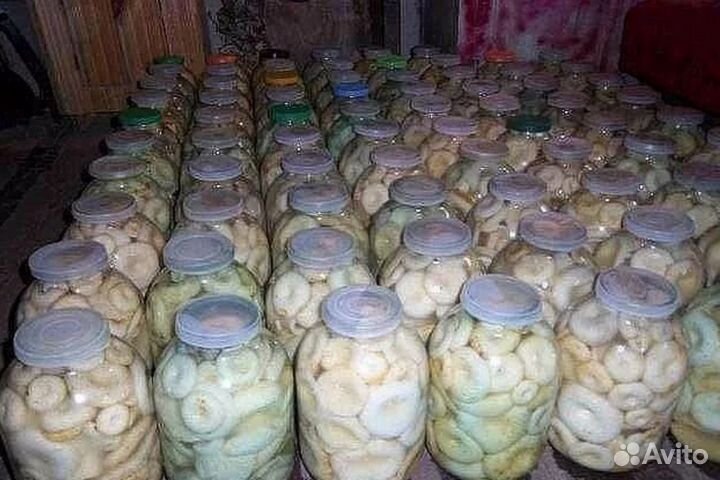 Грузди солёные