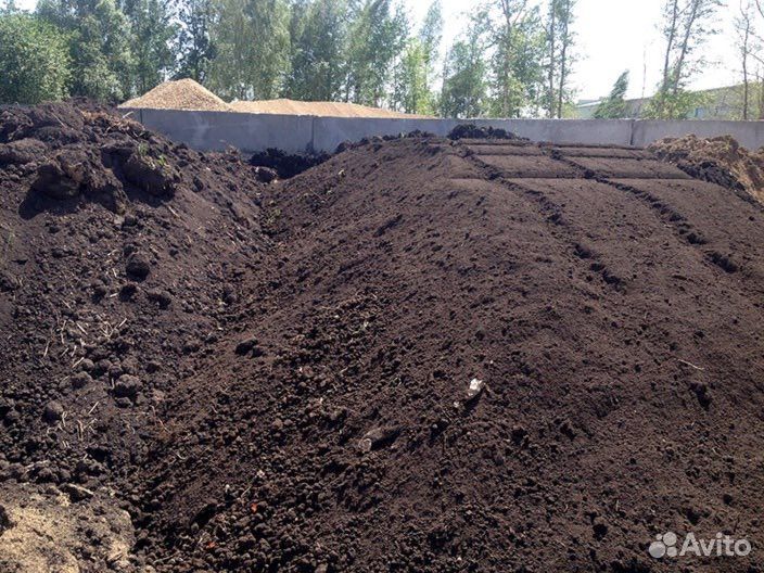 Земля плодородная, чернозем