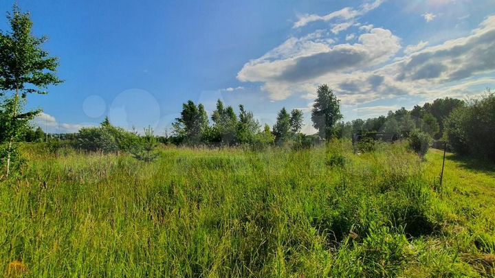 Участок 8,5 сот. (СНТ, ДНП)