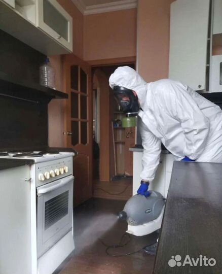 Уничтожение клопов, травить тараканов. Дезинсекция