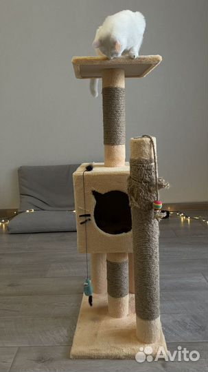 Кошачий дом