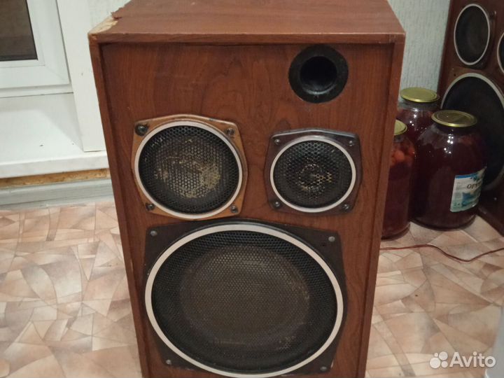 Колонки радиотехника S90