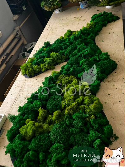 Стабилизированный мох.Логотип из мха в кафе