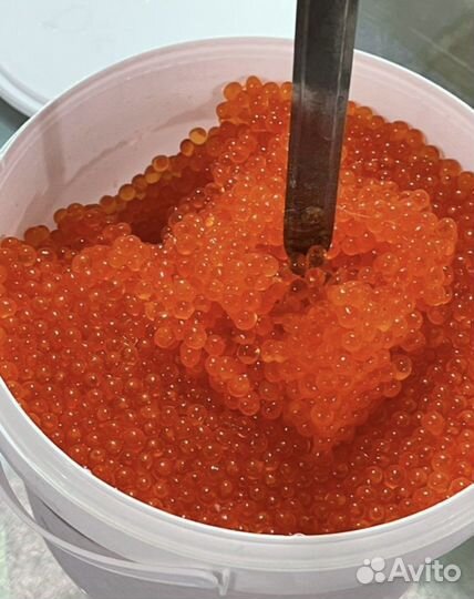 Красная икра кеты