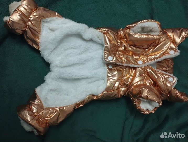 Одежда для средних собак