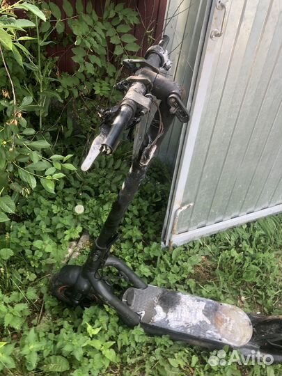 Электросамокат xiaomi navee n65