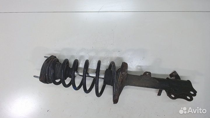 Амортизатор подвески Lexus RX, 2000