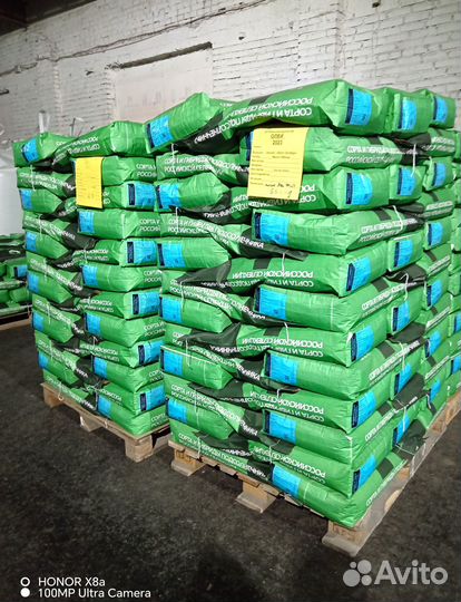 Семена подсолнечника Гепард (Евролайтинг)