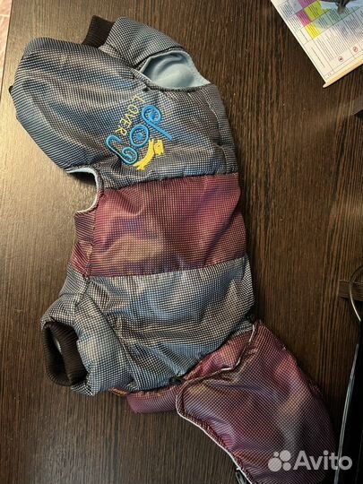 Комбинезон для маленькой собаки