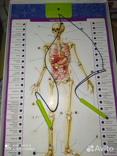 Электронная энциклопедия 7-12 лет
