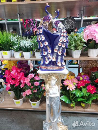 Павлины парные и одиночные на колоннах