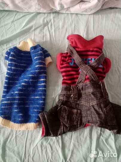 Вещи для животныхи