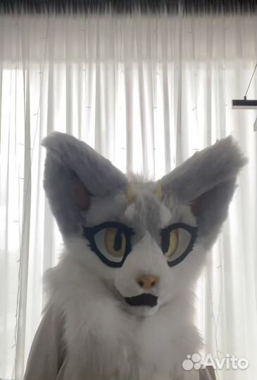 Фурсьют кошки