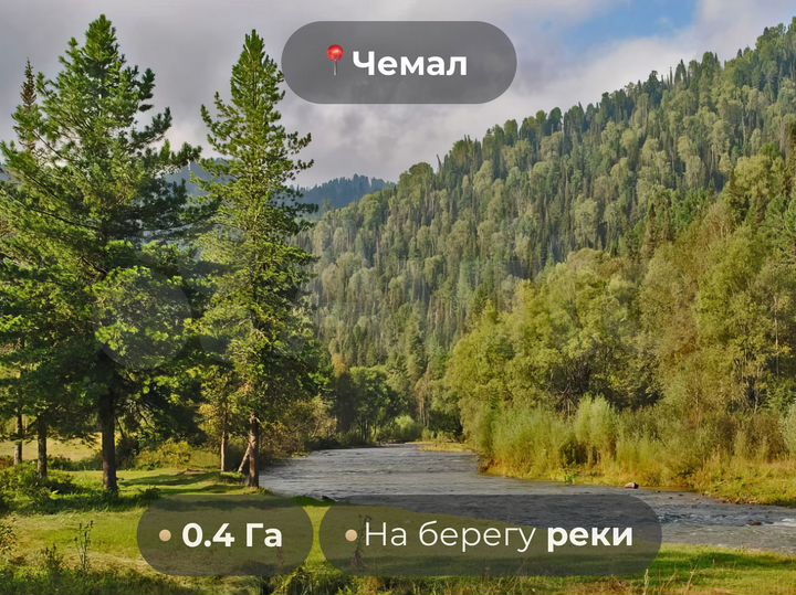Участок 40 сот. (СНТ, ДНП)
