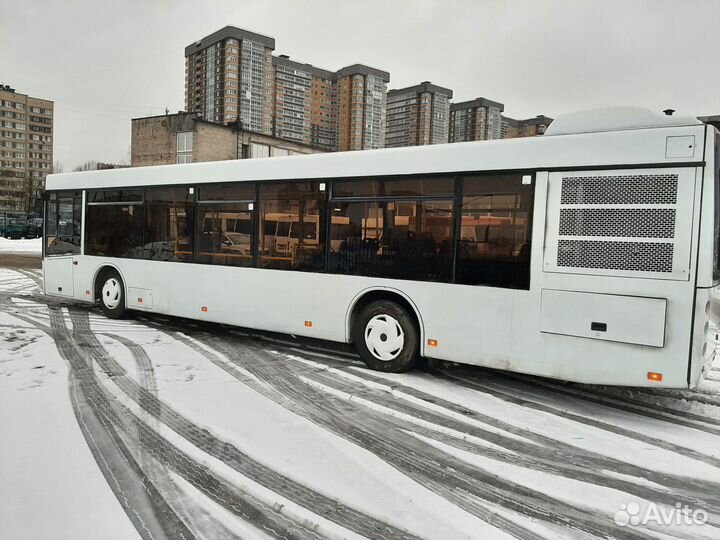 Городской автобус МАЗ 203, 2012
