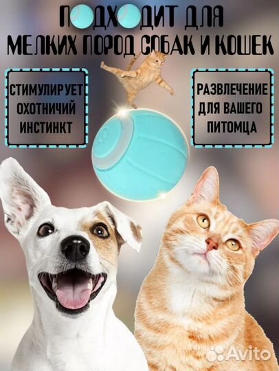 Интерактивная игрушка для кошек мячик