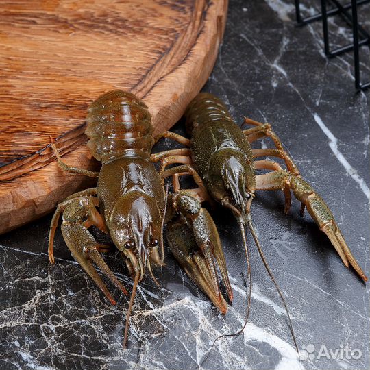 Рак 40+ 1800 от 2х кг 1700,20+1300