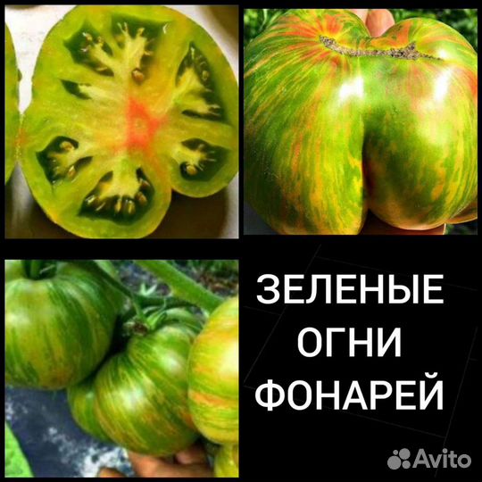 Семена томатов